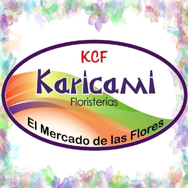 Logo de Karicami